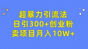 (9954期)超暴力引流法,日引300+创业粉,卖项目月入10W+-PAY资源网-免费资源下载中心
