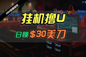 (10013期)日赚30美刀,2024最新海外挂机撸U内部项目,全程无人值守,可批量放大-PAY资源网-免费资源下载中心