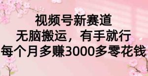 (9277期)视频号新赛道,无脑搬运,有手就行,每个月多赚3000多零花钱-PAY资源网-免费资源下载中心