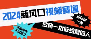 2024新风口视频赛道 做第一批吃螃蟹的人 10分钟一条原创视频 小白无脑操作1-PAY资源网-免费资源下载中心
