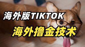 抖音海外版tiktok撸金技术,这个风口行业,赚钱真的不难-PAY资源网-免费资源下载中心