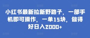 小红书最新拉新野路子,一部手机即可操作,一单15块,做得好日入2000+-PAY资源网-免费资源下载中心