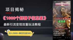 一千个野路子信息差最新玩法教程-变现+引流的玩法具体拆解-PAY资源网-免费资源下载中心