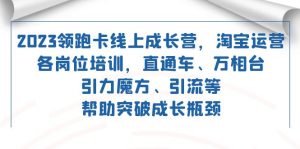 2023领跑·卡 线上成长营 淘宝运营各岗位培训 直通车 万相台 引力魔方 引流-PAY资源网-免费资源下载中心