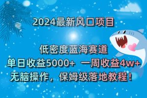 2024最新风口项目 低密度蓝海赛道,日收益5000+周收益4w+ 无脑操作-PAY资源网-免费资源下载中心