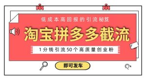 淘宝拼多多电商平台截流创业粉 只需要花上1分钱,长尾流量至少给你引流50粉-PAY资源网-免费资源下载中心