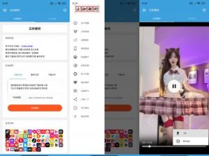 云秒解析v2.0短视频去水印工具无引流纯净版-PAY资源网-免费资源下载中心