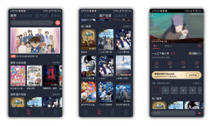 【黑白弹幕】动漫资源软件 去除VIP限制-PAY资源网-免费资源下载中心