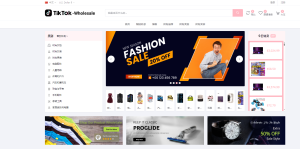 tiktok商城+落地页源码搭建教程-PAY资源网-免费资源下载中心