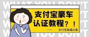 小众项目,支付认证豪车-PAY资源网-免费资源下载中心