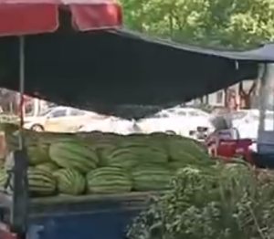 好骚的卖西瓜!听这好爽a-PAY资源网-免费资源下载中心