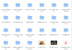 某宝购买“柏林之声”,车载U盘音乐包-PAY资源网-免费资源下载中心