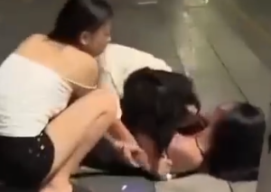 女人打架 女乃 子都要漏出来了!-PAY资源网-免费资源下载中心