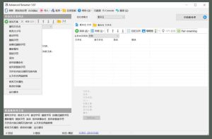 Renamer(高级批量重命名工具) v4.06.0便携版-PAY资源网-免费资源下载中心