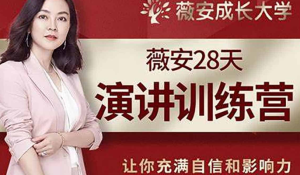 薇安28天销售高手训练营(完结)-PAY资源网-免费资源下载中心