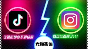 抖音无脑搬运,如果这项目都拿不到结果,你可以退网了-PAY资源网-免费资源下载中心