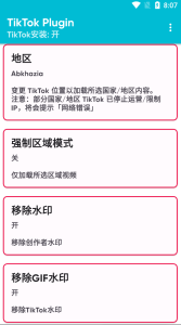 Android TikTok Plugin_v1.61国际版配套插件-PAY资源网-免费资源下载中心