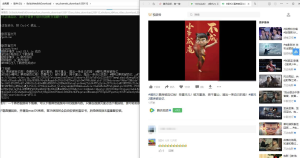 VX视频号下载器PC版v250112-PAY资源网-免费资源下载中心