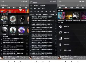 清风DJ(解锁永久会员)-PAY资源网-免费资源下载中心