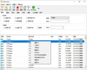 批量改名工具)v1.5 绿色版-PAY资源网-免费资源下载中心