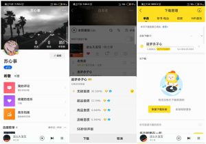 安卓酷我音乐v11.2.5.0破解豪华VIP会员-PAY资源网-免费资源下载中心