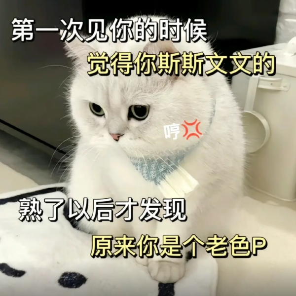 情侣搞笑表情图片2025_情侣聊天专用表情包-PAY资源网-免费资源下载中心