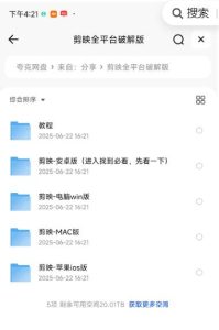 淘宝50买的 全平台剪映破解版-PAY资源网-免费资源下载中心
