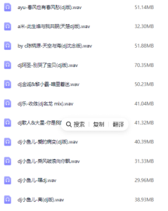 2025年车载必备326首抖音DJ嗨曲精选合集-PAY资源网-免费资源下载中心