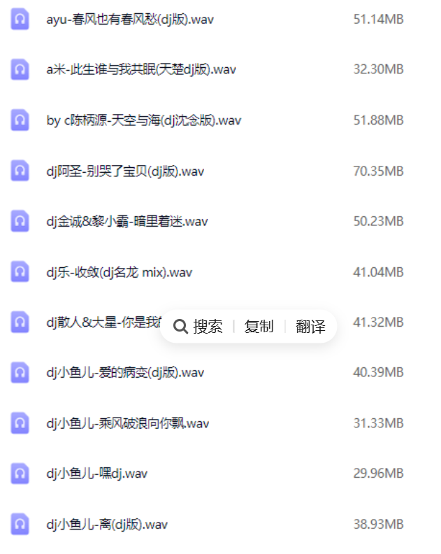 2025年车载必备326首抖音DJ嗨曲精选合集-PAY资源网-免费资源下载中心