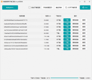 微信视频号下载工具 v260706 支持直播回放直播流-PAY资源网-免费资源下载中心