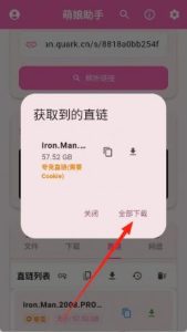 萌娘网盘助手3.0.1， 各大网盘不限速下载-PAY资源网-免费资源下载中心